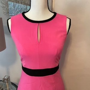 Calvin Klein Pink/Black trim Dress -brand new